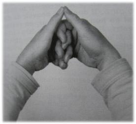 Mudra du cerveau