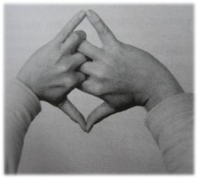 Mudras de l'intestin