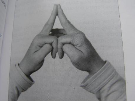 Mudra du nez
