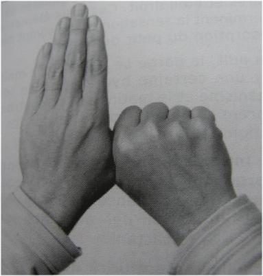 Mudra du rein